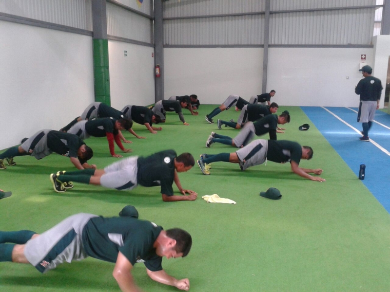 Toma forma la sucursal principal de las fieras, que de nuevo estará en Tecuala